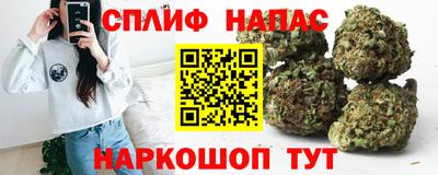 трава Сланцы