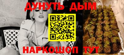 трава Сланцы