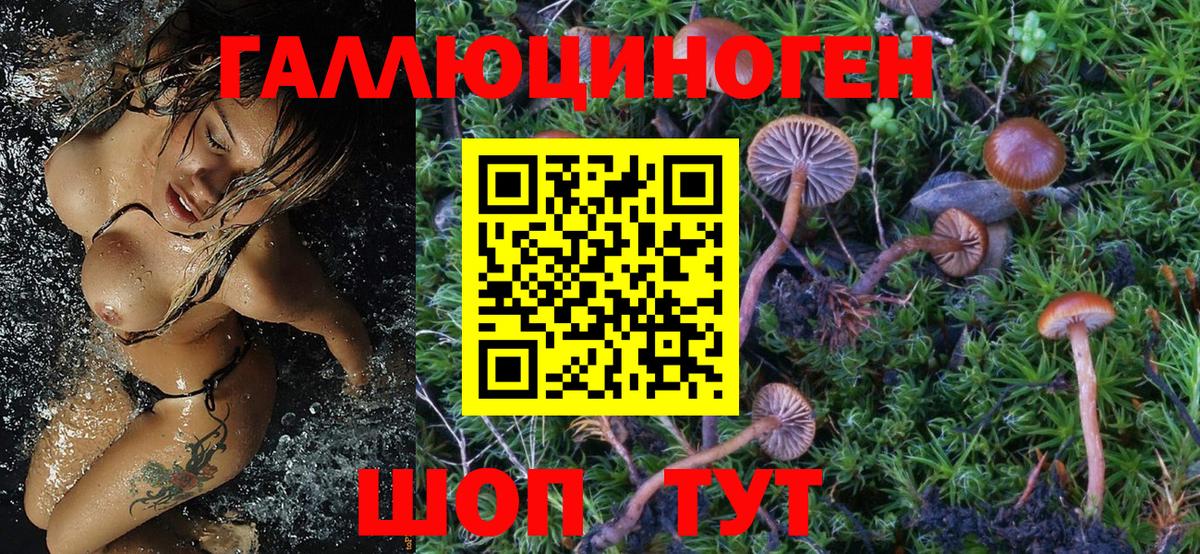 Псилоцибиновые грибы мухоморы  закладка  Орёл  Вход с VPN 
